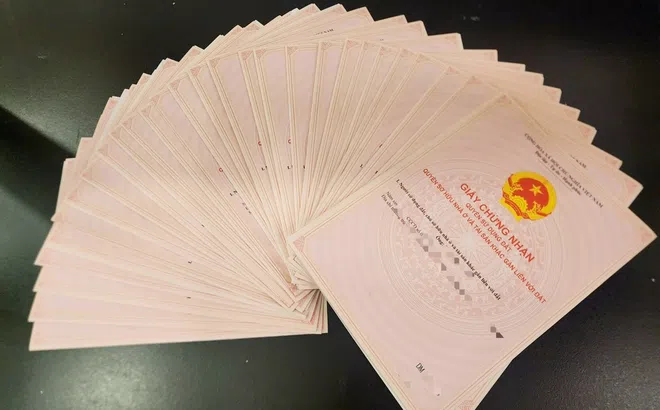 Khách hàng Gem Sky World đón tin vui đầu năm