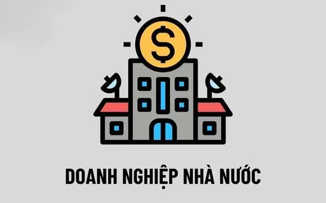 Chính phủ sắp xếp lại một số doanh nghiệp Nhà nước tại Bộ Y tế, TP.HCM và Hải Dương