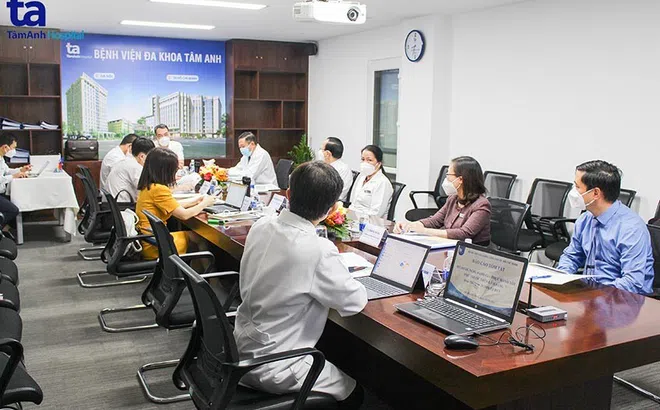 Bộ Y tế thẩm định, nghiên cứu ứng dụng tế bào gốc điều trị bệnh