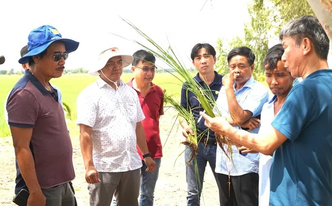 Trọn đời với nhà nông