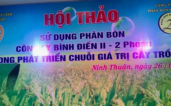 Hội thảo tư vấn sử dụng phân bón Bình Điền II – 2 Phong phát triển chuỗi giá trị cây trồng nông nghiệp bền vững