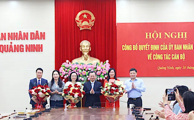 Quảng Ninh bổ nhiệm các vị trí ở Sở Du lịch, Tài chính và Phó Chánh Thanh tra tỉnh
