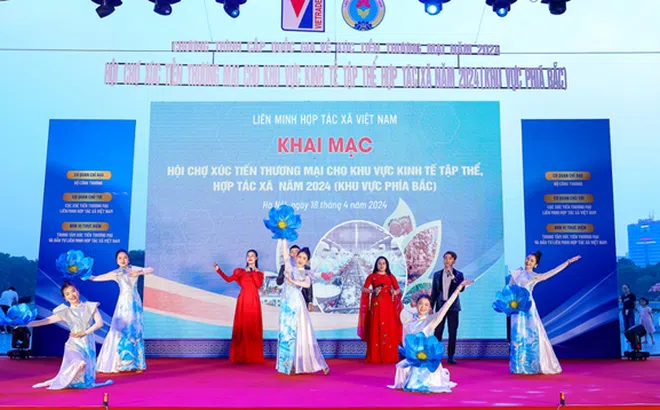 Quảng Bình có 35 sản phẩm tham gia "Hội chợ xúc tiến thương mại cho khu vực kinh tế tập thể năm 2024", khu vực phía Bắc