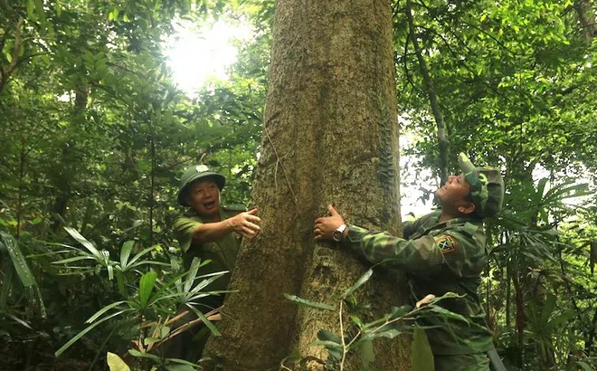 Quảng Bình: Hưởng nguồn chi trả từ tín chỉ carbon - Người dân nâng cao ý thức bảo vệ rừng