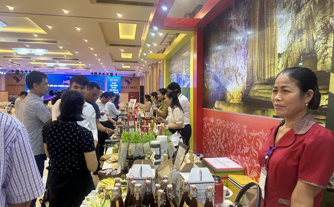 Quảng Bình: Du lịch nông nghiệp và sản phẩm OCOP cần cái “bắt tay siết chặt” giữa các ngành