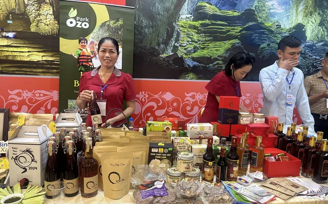 Ngành nông nghiệp Quảng Bình đã làm gì để phát triển các sản phẩm OCOP?