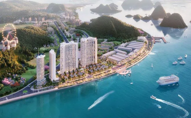 Lộ diện tổng thầu thực hiện thi công siêu dự án 10 tỷ USD của Vingroup