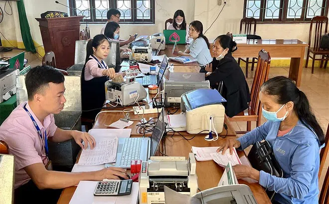 Ngân hàng Chính sách xã hội Quảng Bình kịp thời giải ngân nguồn vốn hỗ trợ các hộ nghèo, cận nghèo...