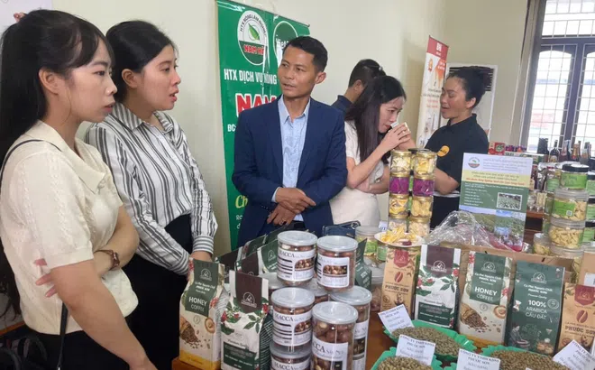 Kết nối giao thương, mở rộng thị trường tiêu thụ sản phẩm của Lâm Đồng tại Quảng Bình