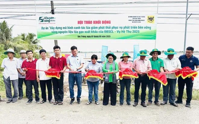 Công ty CP Phân bón Bình Điền đẩy mạnh Dự án "Xây dựng mô hình canh tác lúa giảm phát thải phục vụ phát triển bền vững vùng nguyên liệu lúa gạo xuất khẩu của ĐBSCL"