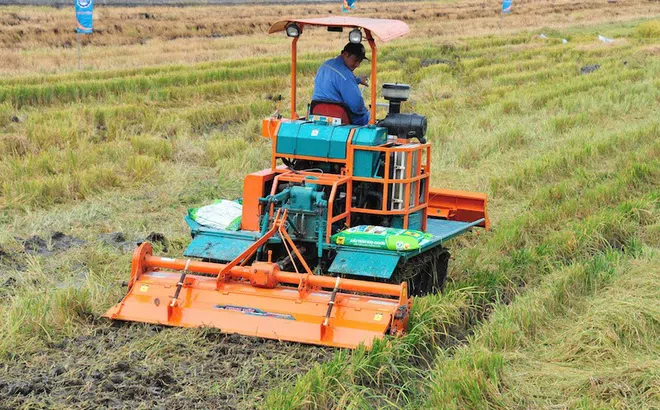 Đầu Trâu Bio-Canxi từ lời kể của nông dân trong mô hình đến hiệu quả lan tỏa trong sản xuất lúa