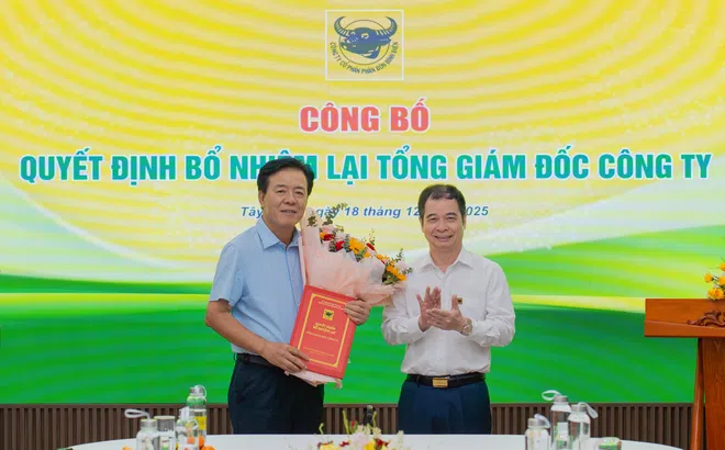 HĐQT Công ty Cổ phần phân bón Bình Điền bổ nhiệm lại Tổng Giám đốc Ngô Văn Đông