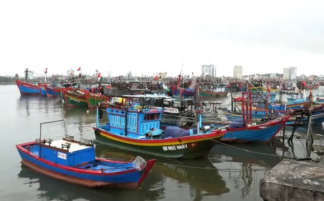 Quảng Bình kêu gọi tàu thuyền tránh trú bão số 1