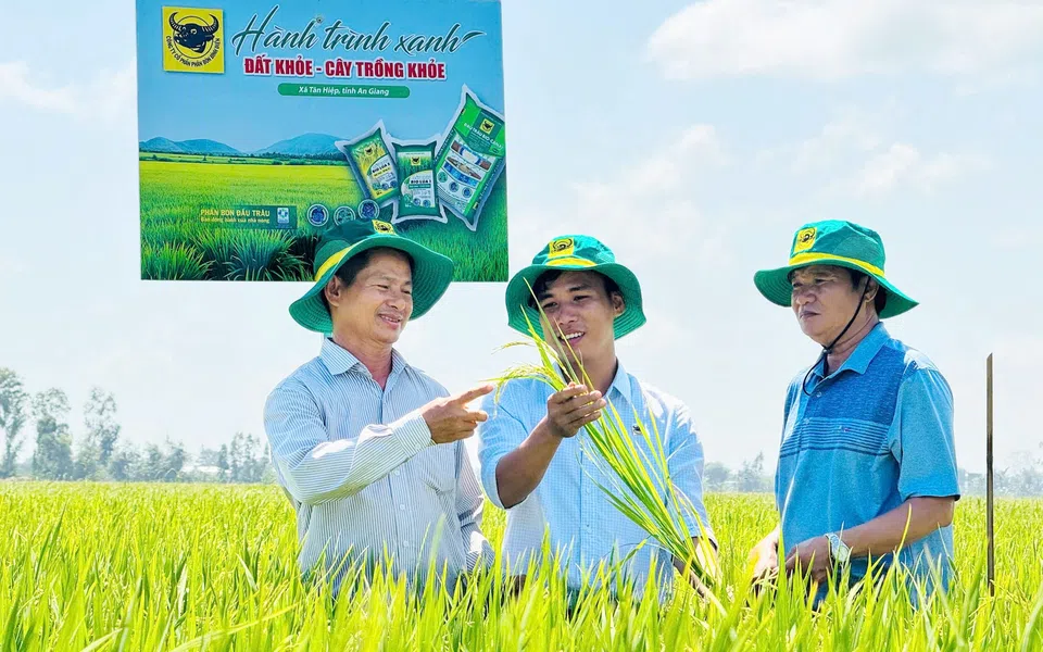 Đất khỏe, cây khỏe, người nông dân thêm niềm tin