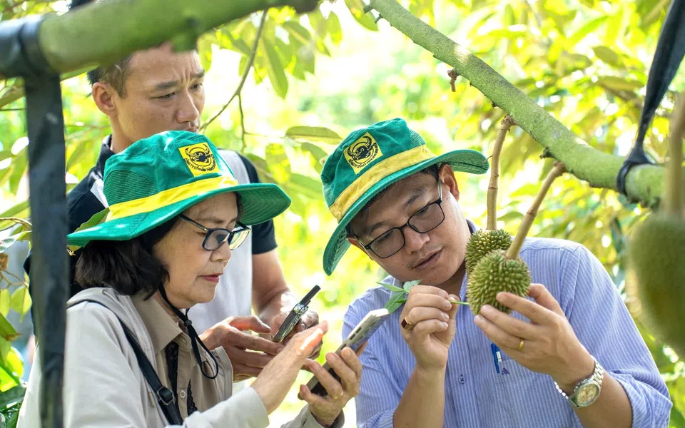 Bình Điền: 30 năm lấy tri thức làm nền tảng và bước chuyển chiến lược cho nông nghiệp xanh